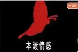 本渡情感《普通男性升阶之道》-喵神情感社群
