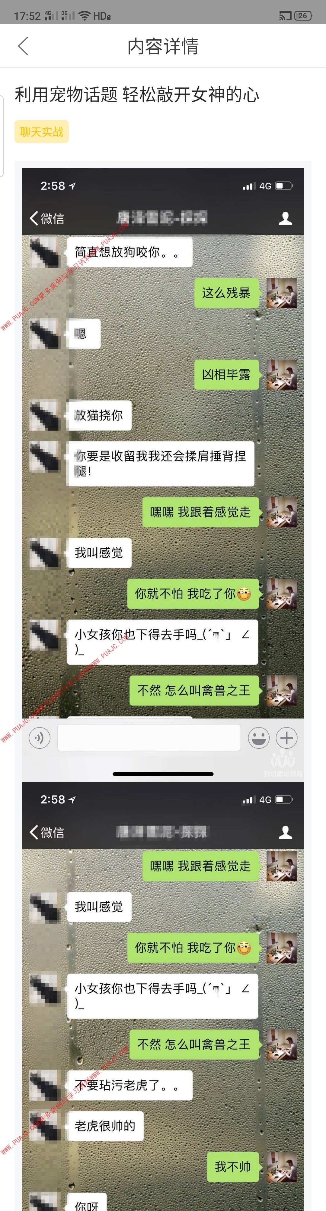 图片[1]-利用宠物话题 轻松敲开女神的心-喵神情感社群