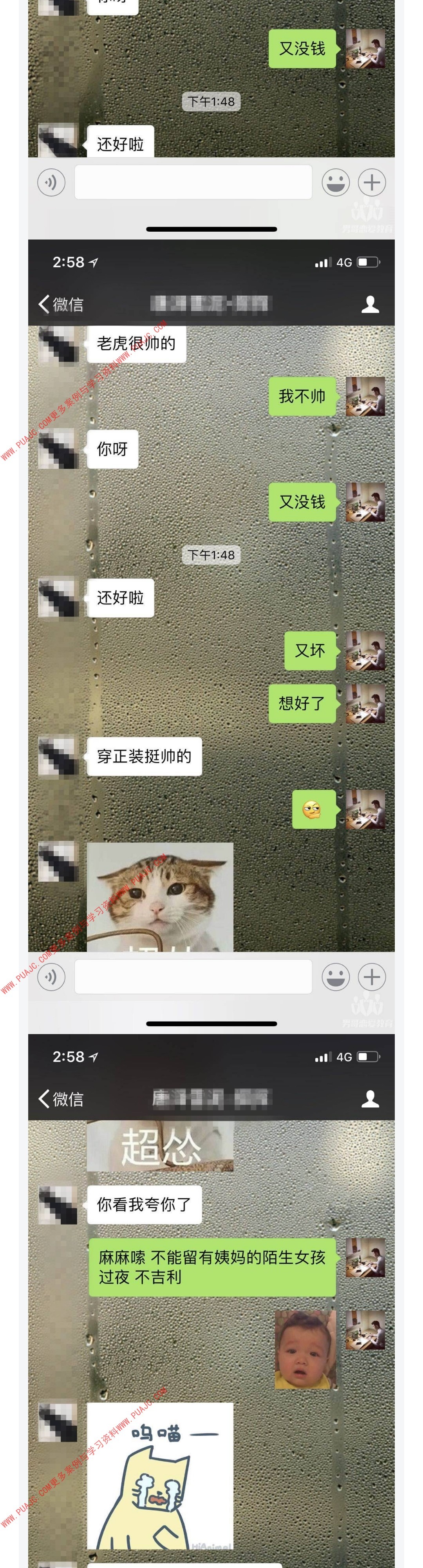 图片[2]-利用宠物话题 轻松敲开女神的心-喵神情感社群