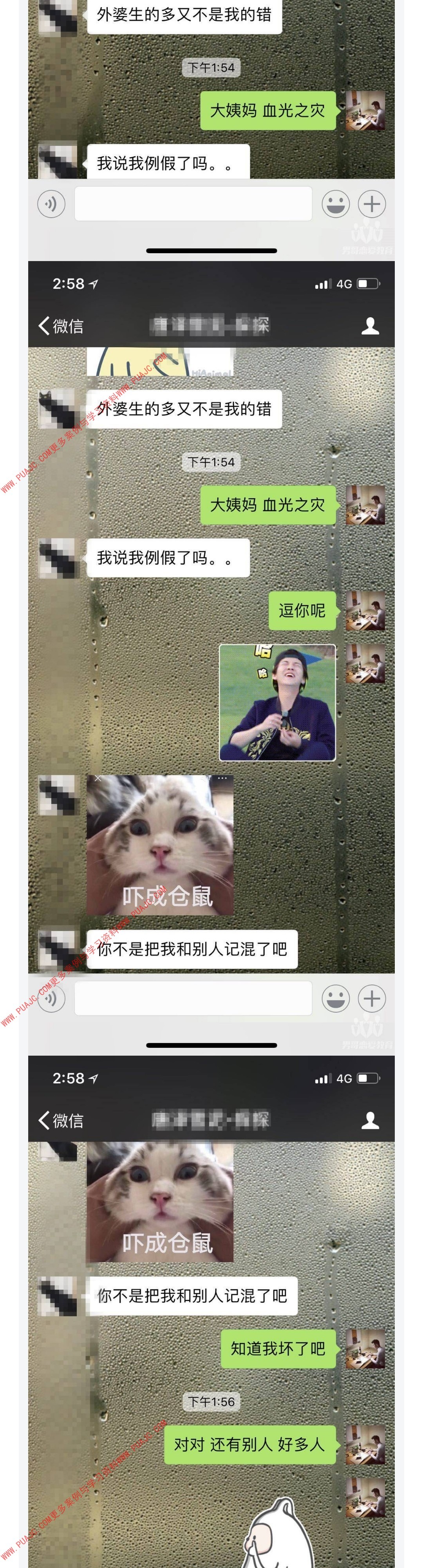 图片[3]-利用宠物话题 轻松敲开女神的心-喵神情感社群