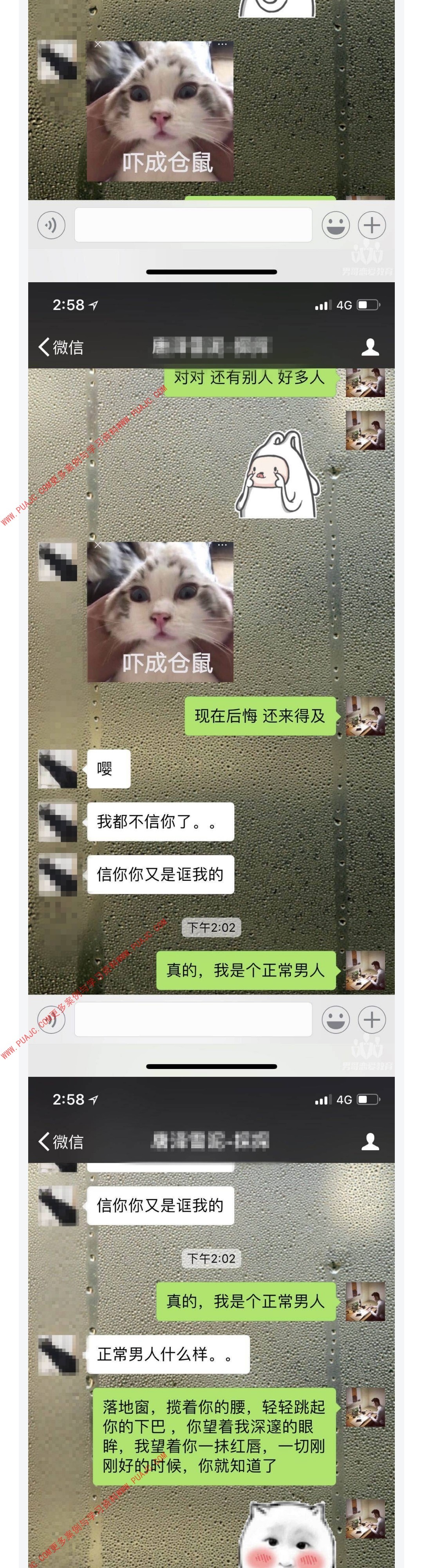 图片[4]-利用宠物话题 轻松敲开女神的心-喵神情感社群