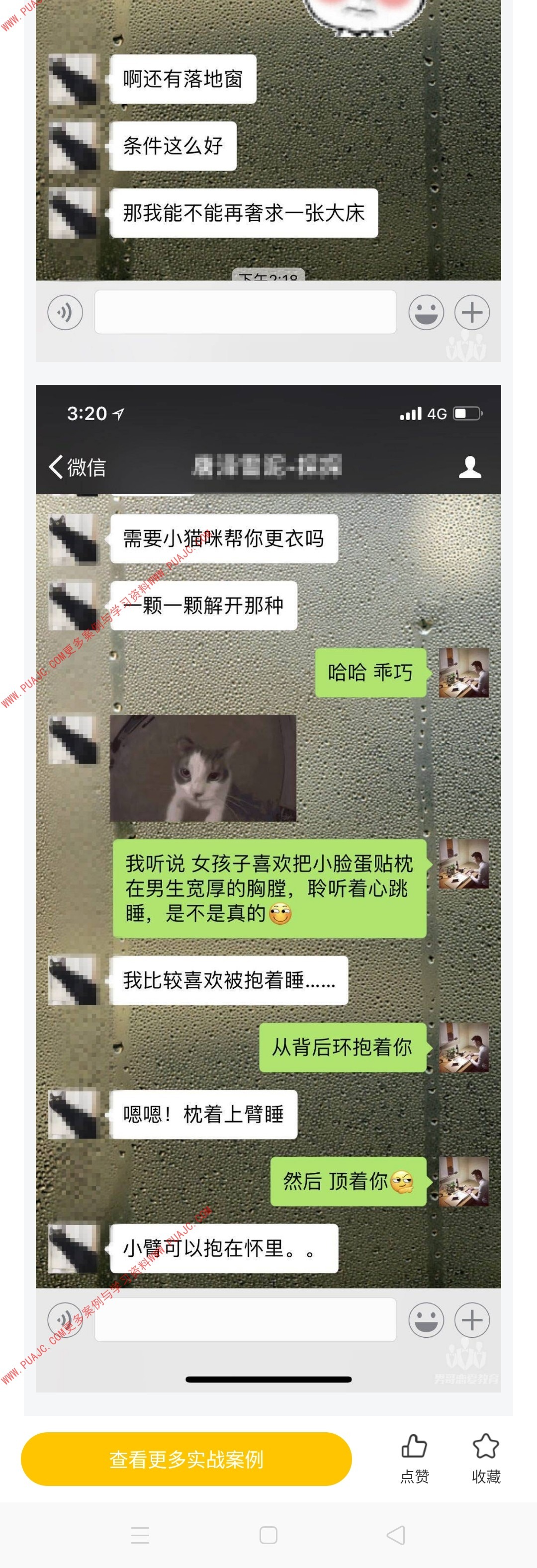 图片[5]-利用宠物话题 轻松敲开女神的心-喵神情感社群